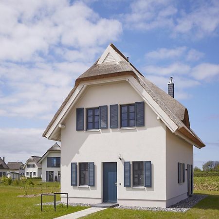 Reetland Am Meer - Premium Reetdachvilla Mit 3 Schlafzimmern, Sauna, Kamin Und Massagesessel F05 Дранске Екстер'єр фото